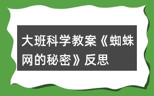 大班科學(xué)教案《蜘蛛網(wǎng)的秘密》反思