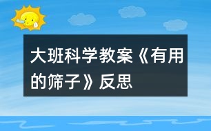 大班科學(xué)教案《有用的篩子》反思