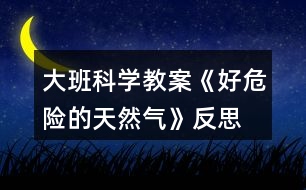 大班科學(xué)教案《好危險的天然氣》反思