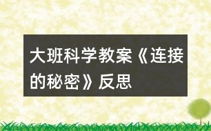 大班科學(xué)教案《連接的秘密》反思