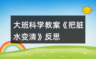 大班科學教案《把臟水變清》反思