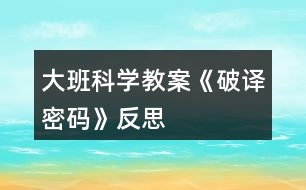 大班科學(xué)教案《破譯密碼》反思