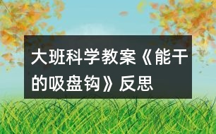 大班科學教案《能干的吸盤鉤》反思