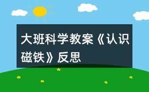 大班科學(xué)教案《認(rèn)識(shí)磁鐵》反思