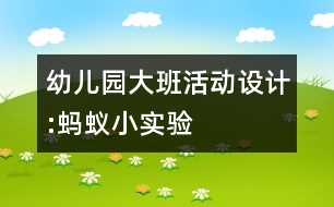 幼兒園大班活動設計:螞蟻小實驗