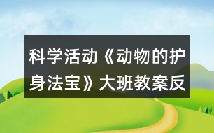 科學活動《動物的護身法寶》大班教案反思