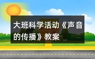 大班科學活動《聲音的傳播》教案