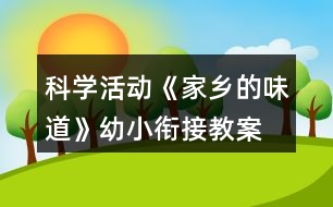 科學(xué)活動《家鄉(xiāng)的味道》幼小銜接教案