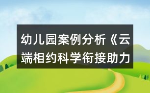 幼兒園案例分析《云端相約科學(xué)銜接助力成長》幼小銜接案列