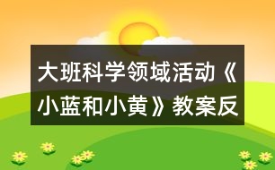 大班科學(xué)領(lǐng)域活動《小藍(lán)和小黃》教案反思