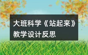 大班科學《站起來》教學設計反思