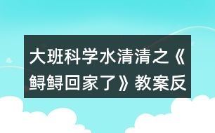 大班科學(xué)水清清之《鱘鱘回家了》教案反思