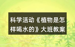 科學(xué)活動(dòng)《植物是怎樣喝水的》大班教案