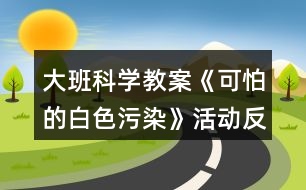 大班科學(xué)教案《可怕的白色污染》活動反思