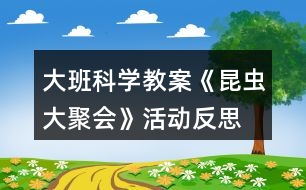 大班科學(xué)教案《昆蟲(chóng)大聚會(huì)》活動(dòng)反思