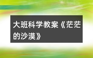 大班科學(xué)教案《茫茫的沙漠》