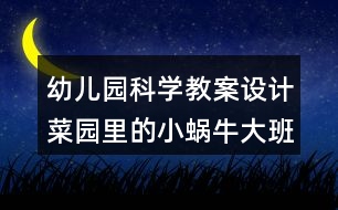 幼兒園科學教案設計菜園里的小蝸牛（大班）