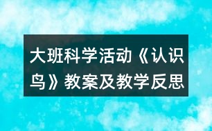 大班科學(xué)活動《認(rèn)識鳥》教案及教學(xué)反思