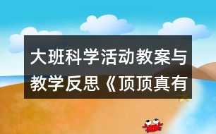 大班科學活動教案與教學反思《頂頂真有趣》