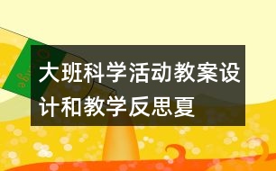 大班科學活動教案設計和教學反思——夏天在那里??？