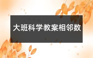 大班科學(xué)教案相鄰數(shù)