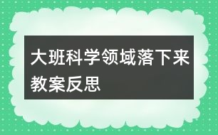 大班科學(xué)領(lǐng)域落下來(lái)教案反思