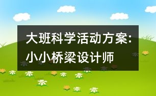 大班科學(xué)活動方案:小小橋梁設(shè)計師