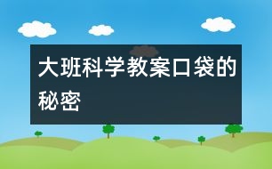 大班科學(xué)教案口袋的秘密