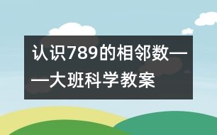 認(rèn)識7、8、9的相鄰數(shù)――大班科學(xué)教案