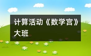 計(jì)算活動(dòng)《數(shù)學(xué)宮》大班