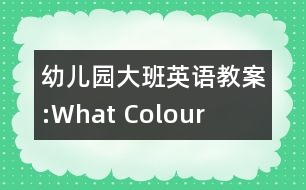 幼兒園大班英語教案:What Colour