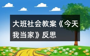 大班社會教案《今天我當家》反思