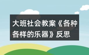 大班社會(huì)教案《各種各樣的樂(lè)器》反思