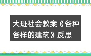 大班社會(huì)教案《各種各樣的建筑》反思