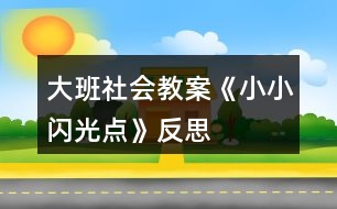 大班社會教案《小小“閃光點(diǎn)”》反思