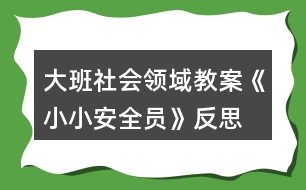 大班社會領(lǐng)域教案《小小安全員》反思