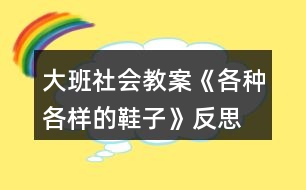 大班社會教案《各種各樣的鞋子》反思