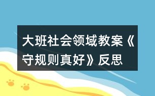 大班社會領(lǐng)域教案《守規(guī)則真好》反思