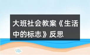 大班社會教案《生活中的標(biāo)志》反思