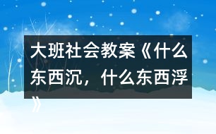 大班社會(huì)教案《什么東西沉，什么東西浮》反思