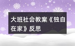 大班社會教案《獨自在家》反思