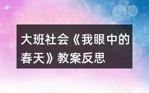 大班社會《我眼中的春天》教案反思