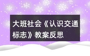 大班社會《認識交通標志》教案反思