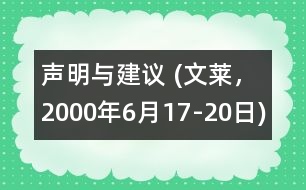 聲明與建議 (文萊，2000年6月17-20日)