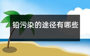 鉛污染的途徑有哪些