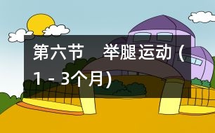 第六節(jié)　舉腿運動 (1－3個月)