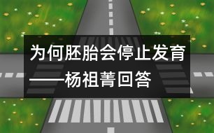 為何胚胎會停止發(fā)育――楊祖菁回答