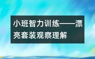 小班智力訓(xùn)練――漂亮套裝（觀察、理解、判斷、語言）