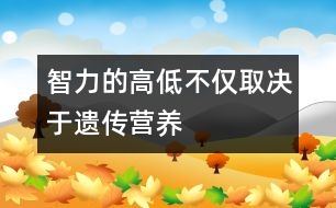 智力的高低不僅取決于遺傳、營養(yǎng)