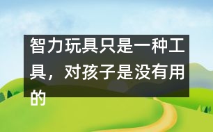 智力玩具只是一種工具，對孩子是沒有用的――王文革回答